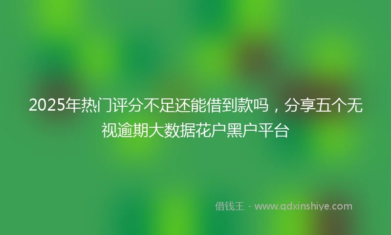 2025年热门评分不足还能借到款吗，分享五个无视逾期大数据花户黑户平台