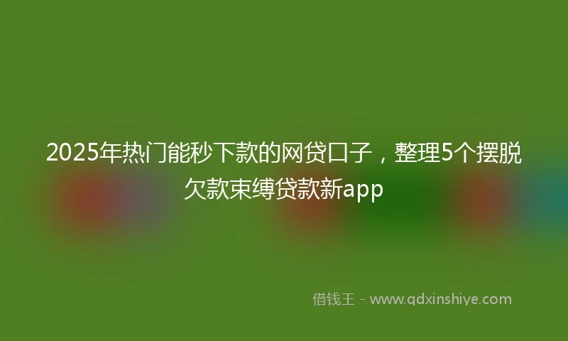 2025年热门能秒下款的网贷口子，整理5个摆脱欠款束缚贷款新app