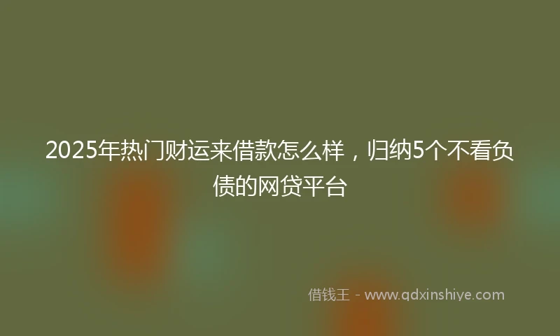 2025年热门财运来借款怎么样，归纳5个不看负债的网贷平台