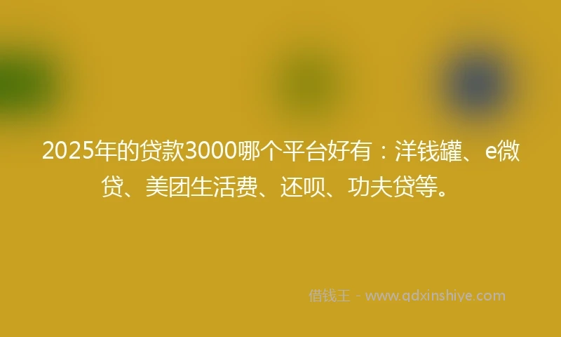 2025年的贷款3000哪个平台好有：洋钱罐、e微贷、美团生活费、还呗、功夫贷等。