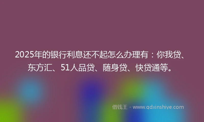 2025年的银行利息还不起怎么办理有：你我贷、东方汇、51人品贷、随身贷、快贷通等。