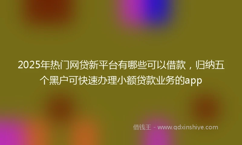 2025年热门网贷新平台有哪些可以借款，归纳五个黑户可快速办理小额贷款业务的app