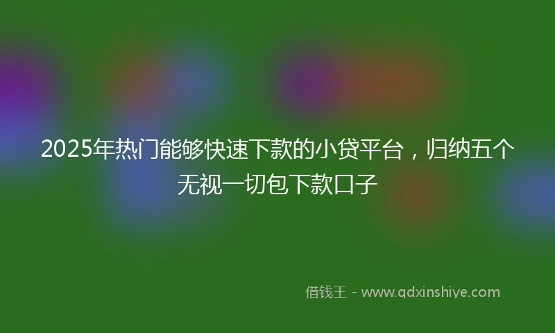 2025年热门能够快速下款的小贷平台，归纳五个无视一切包下款口子