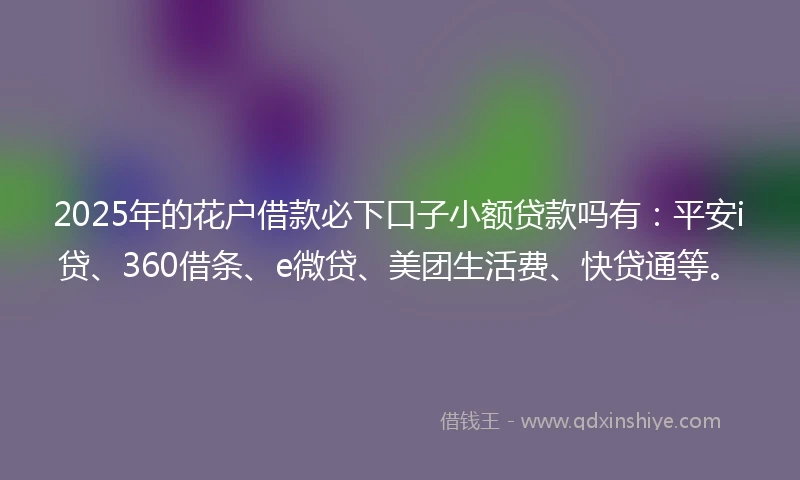 2025年的花户借款必下口子小额贷款吗有：平安i贷、360借条、e微贷、美团生活费、快贷通等。