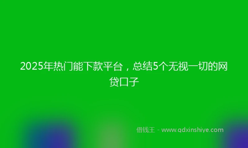 2025年热门能下款平台，总结5个无视一切的网贷口子