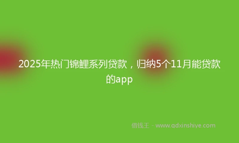 2025年热门锦鲤系列贷款，归纳5个11月能贷款的app