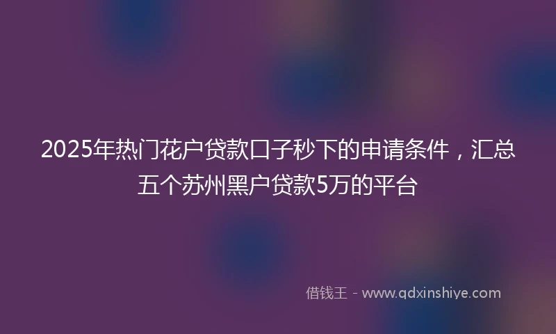 2025年热门花户贷款口子秒下的申请条件，汇总五个苏州黑户贷款5万的平台
