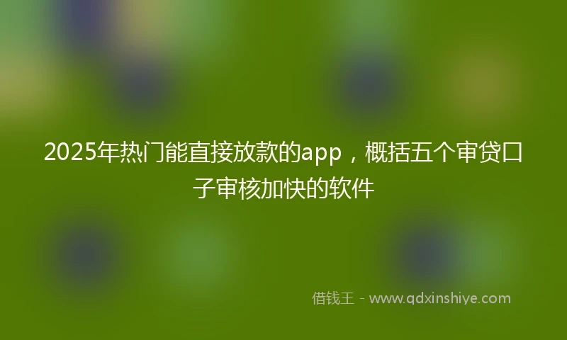 2025年热门能直接放款的app，概括五个审贷口子审核加快的软件