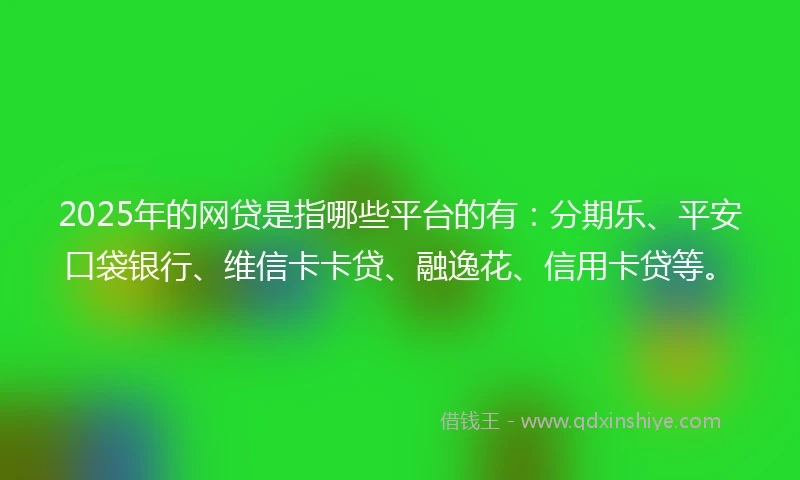 2025年的网贷是指哪些平台的有：分期乐、平安口袋银行、维信卡卡贷、融逸花、信用卡贷等。