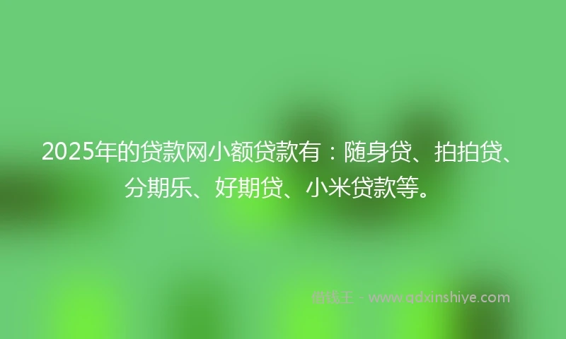 2025年的贷款网小额贷款有：随身贷、拍拍贷、分期乐、好期贷、小米贷款等。
