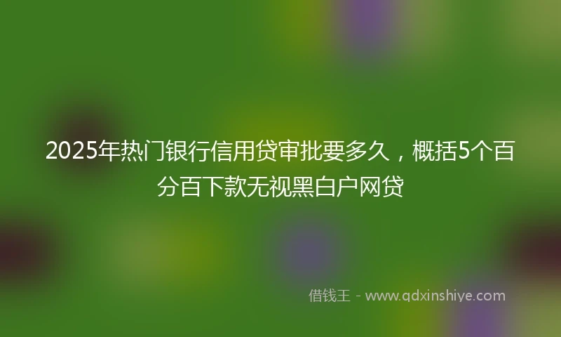 2025年热门银行信用贷审批要多久，概括5个百分百下款无视黑白户网贷