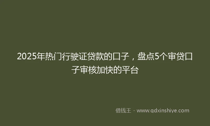 2025年热门行驶证贷款的口子，盘点5个审贷口子审核加快的平台