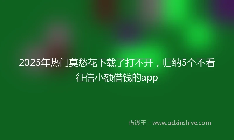 2025年热门莫愁花下载了打不开，归纳5个不看征信小额借钱的app