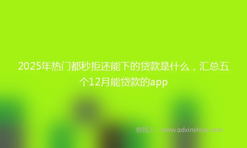 2025年热门都秒拒还能下的贷款是什么，汇总五个12月能贷款的app