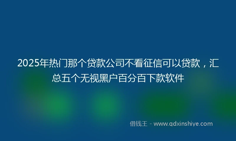 2025年热门那个贷款公司不看征信可以贷款，汇总五个无视黑户百分百下款软件