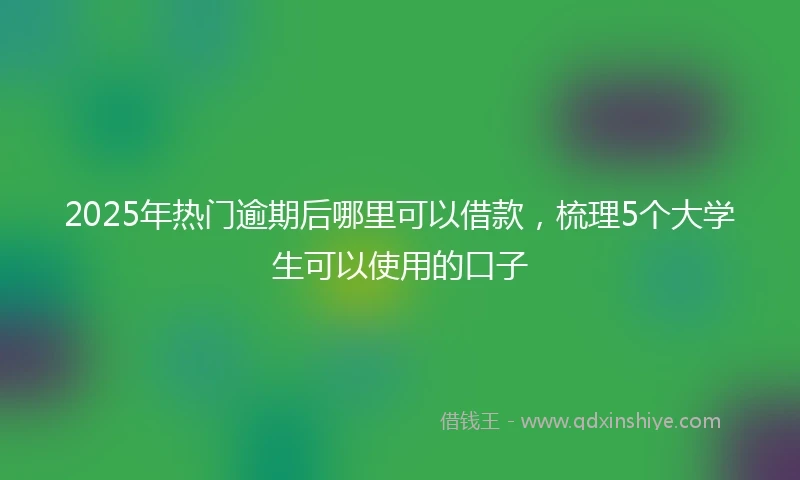 2025年热门逾期后哪里可以借款，梳理5个大学生可以使用的口子