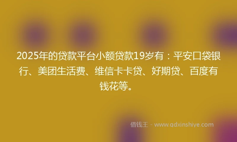 2025年的贷款平台小额贷款19岁有：平安口袋银行、美团生活费、维信卡卡贷、好期贷、百度有钱花等。