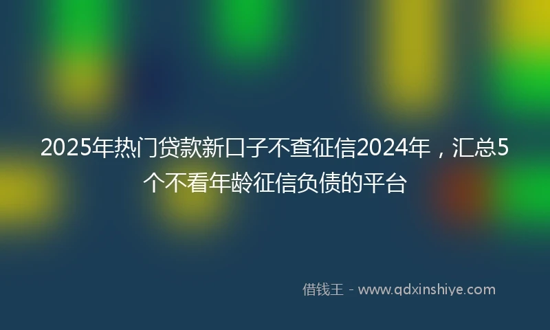 2025年热门贷款新口子不查征信2024年，汇总5个不看年龄征信负债的平台