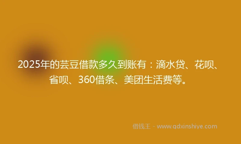 2025年的芸豆借款多久到账有：滴水贷、花呗、省呗、360借条、美团生活费等。