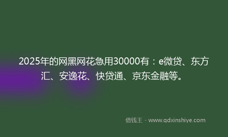 2025年的网黑网花急用30000有：e微贷、东方汇、安逸花、快贷通、京东金融等。