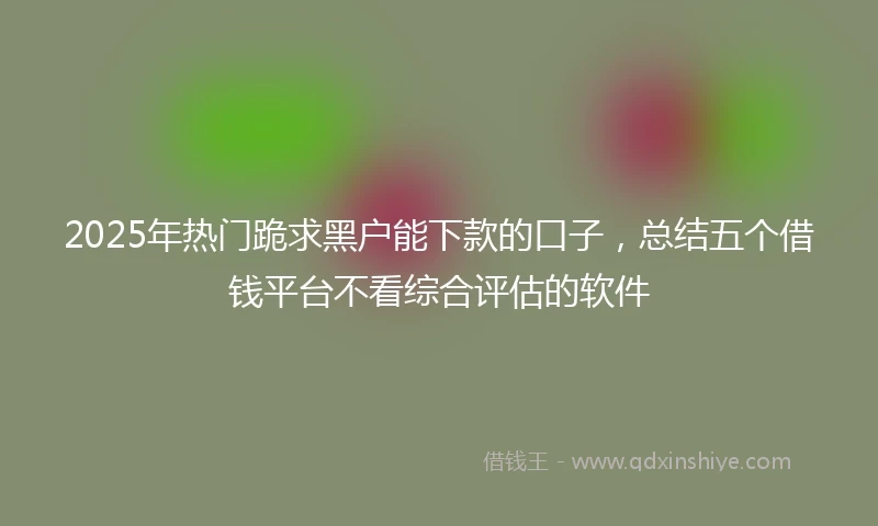 2025年热门跪求黑户能下款的口子，总结五个借钱平台不看综合评估的软件