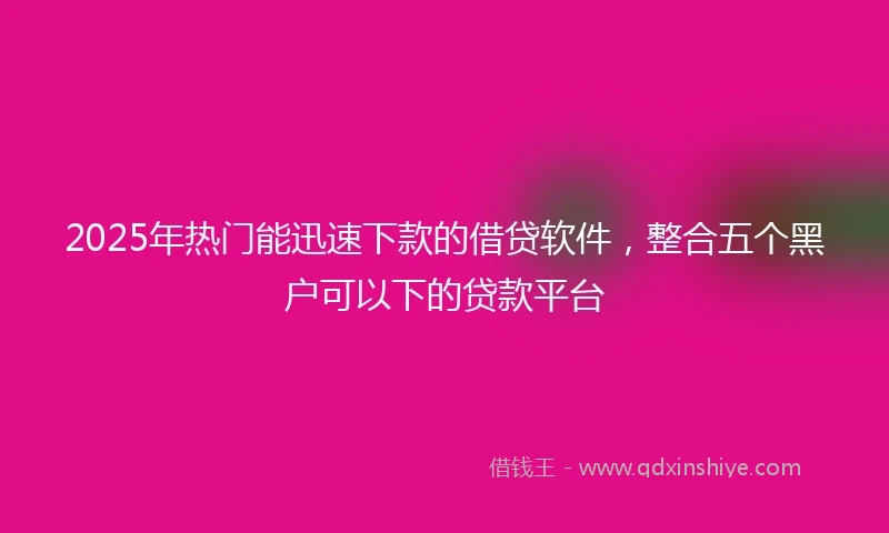 2025年热门能迅速下款的借贷软件，整合五个黑户可以下的贷款平台