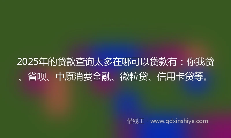 2025年的贷款查询太多在哪可以贷款有：你我贷、省呗、中原消费金融、微粒贷、信用卡贷等。
