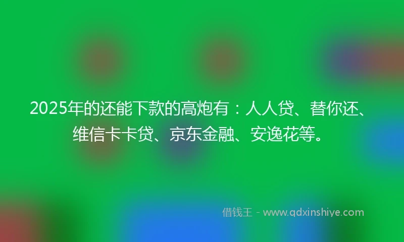 2025年的还能下款的高炮有：人人贷、替你还、维信卡卡贷、京东金融、安逸花等。