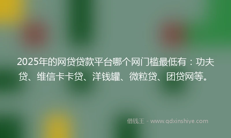 2025年的网贷贷款平台哪个网门槛最低有：功夫贷、维信卡卡贷、洋钱罐、微粒贷、团贷网等。