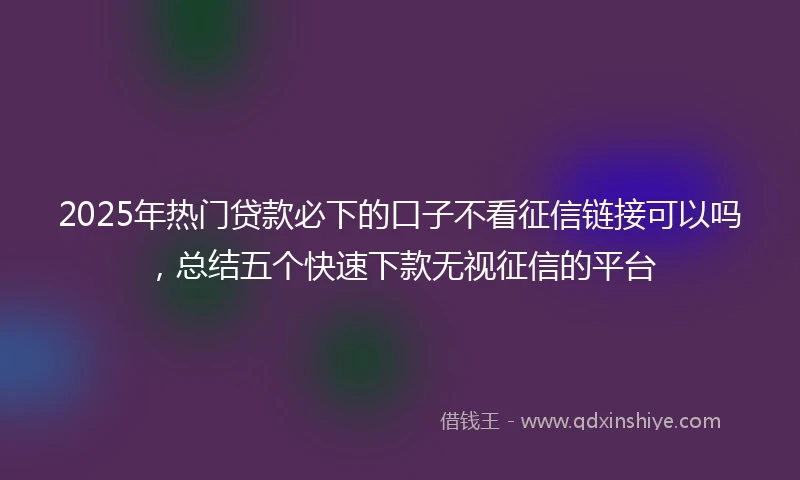 2025年热门贷款必下的口子不看征信链接可以吗，总结五个快速下款无视征信的平台