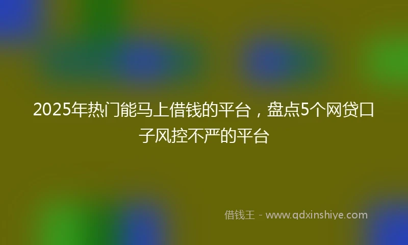 2025年热门能马上借钱的平台，盘点5个网贷口子风控不严的平台