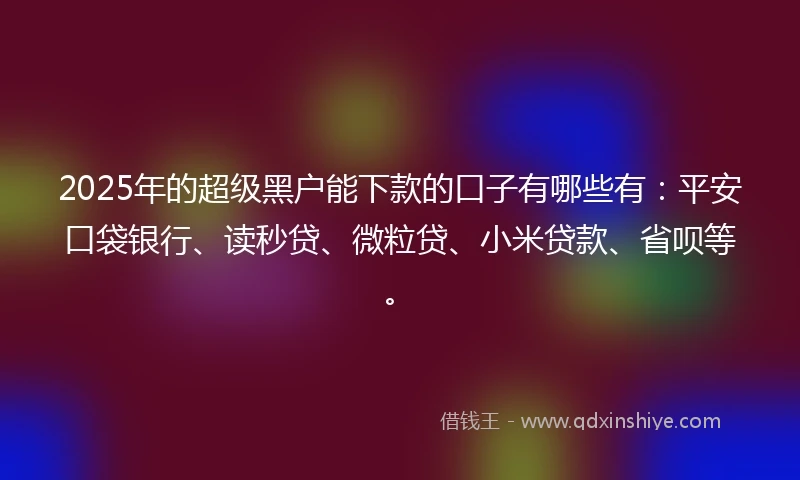 2025年的超级黑户能下款的口子有哪些有：平安口袋银行、读秒贷、微粒贷、小米贷款、省呗等。