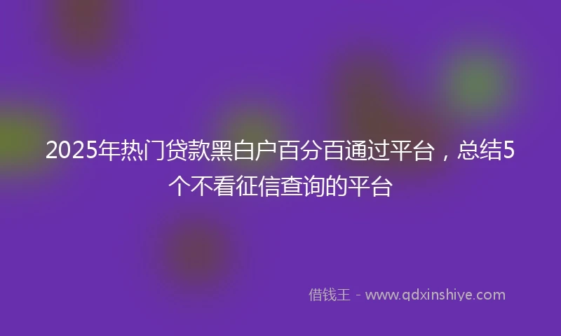2025年热门贷款黑白户百分百通过平台，总结5个不看征信查询的平台