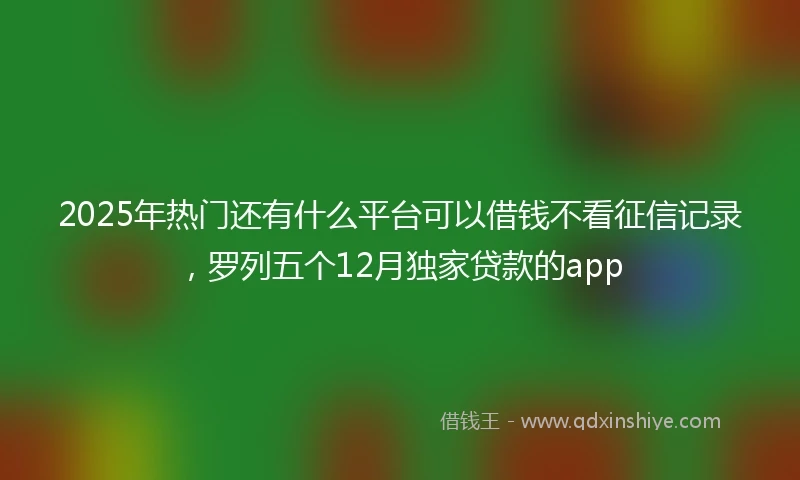2025年热门还有什么平台可以借钱不看征信记录，罗列五个12月独家贷款的app