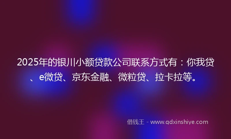 2025年的银川小额贷款公司联系方式有：你我贷、e微贷、京东金融、微粒贷、拉卡拉等。
