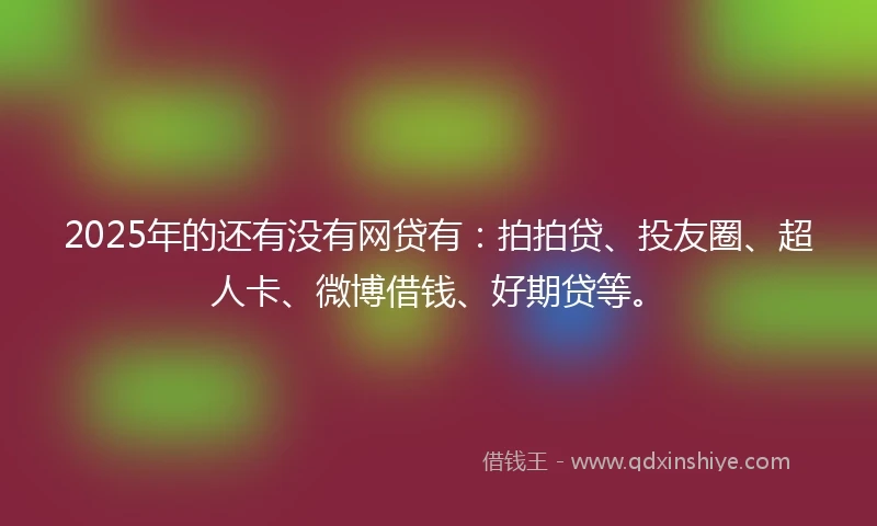 2025年的还有没有网贷有：拍拍贷、投友圈、超人卡、微博借钱、好期贷等。