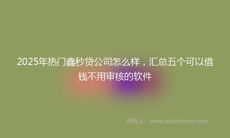 2025年热门鑫秒贷公司怎么样，汇总五个可以借钱不用审核的软件