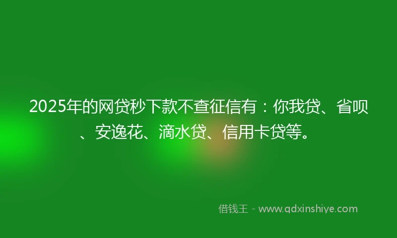 2025年的网贷秒下款不查征信有：你我贷、省呗、安逸花、滴水贷、信用卡贷等。