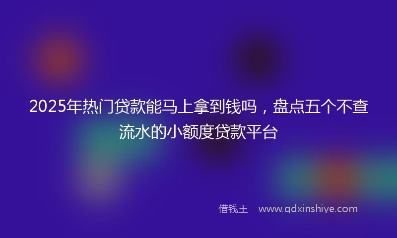 2025年热门贷款能马上拿到钱吗，盘点五个不查流水的小额度贷款平台