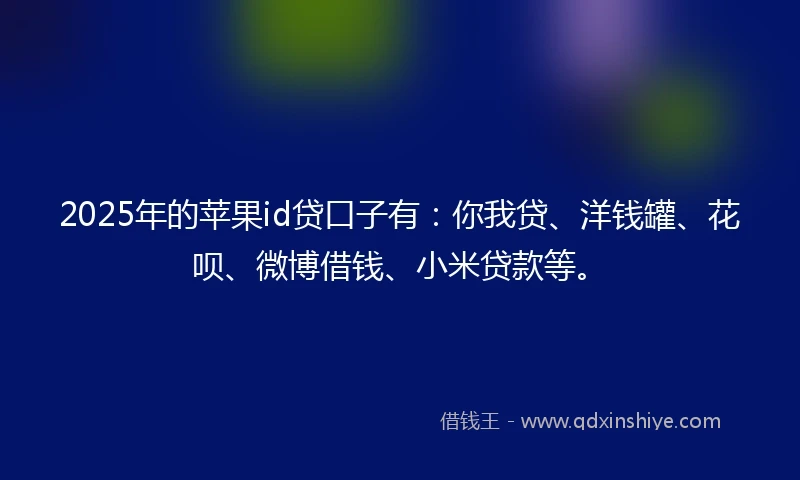 2025年的苹果id贷口子有：你我贷、洋钱罐、花呗、微博借钱、小米贷款等。