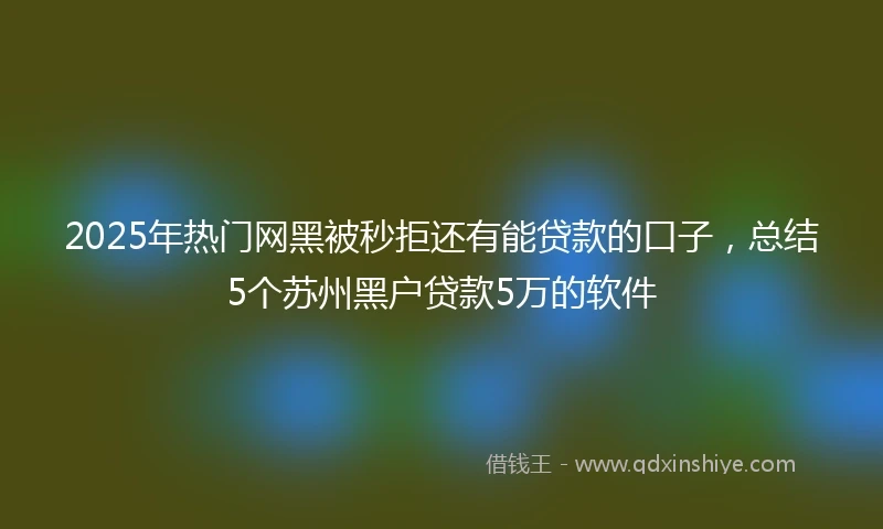 2025年热门网黑被秒拒还有能贷款的口子，总结5个苏州黑户贷款5万的软件