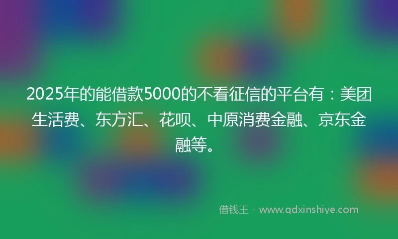 2025年的能借款5000的不看征信的平台有：美团生活费、东方汇、花呗、中原消费金融、京东金融等。