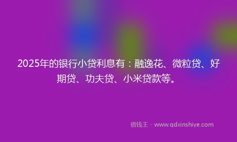 2025年的银行小贷利息有：融逸花、微粒贷、好期贷、功夫贷、小米贷款等。