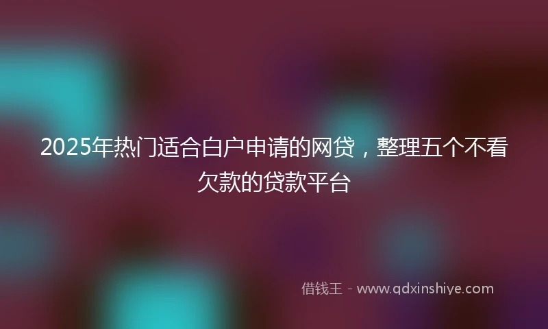 2025年热门适合白户申请的网贷,整理五个不看欠款的贷款平台