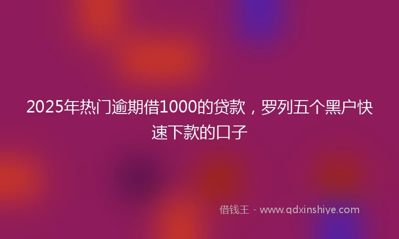 2025年热门逾期借1000的贷款，罗列五个黑户快速下款的口子