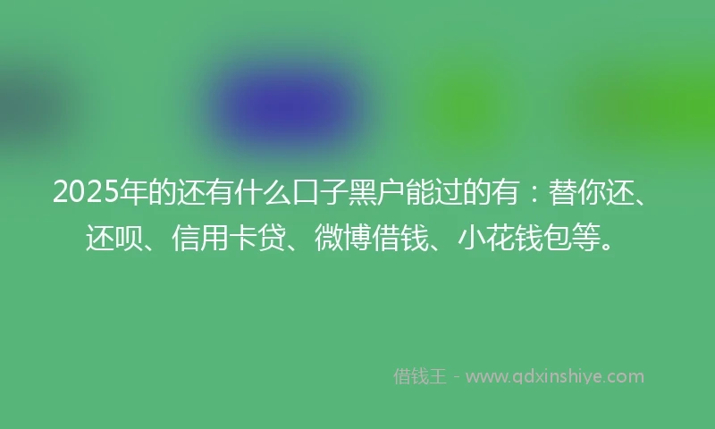 2025年的还有什么口子黑户能过的有：替你还、还呗、信用卡贷、微博借钱、小花钱包等。