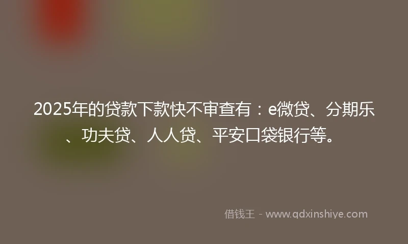 2025年的贷款下款快不审查有：e微贷、分期乐、功夫贷、人人贷、平安口袋银行等。