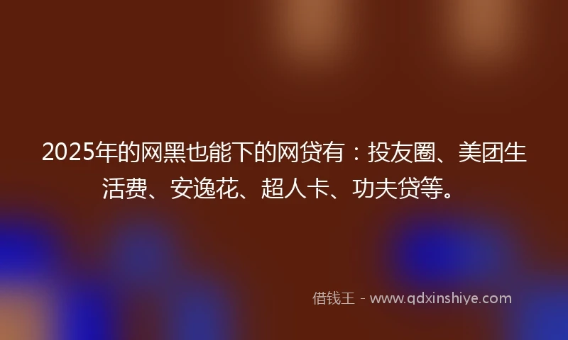 2025年的网黑也能下的网贷有：投友圈、美团生活费、安逸花、超人卡、功夫贷等。