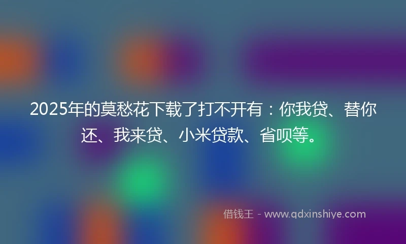 2025年的莫愁花下载了打不开有：你我贷、替你还、我来贷、小米贷款、省呗等。