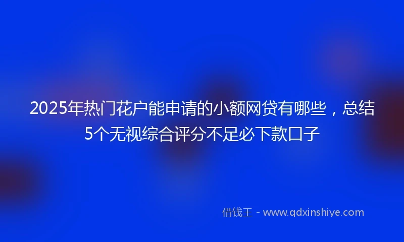 2025年热门花户能申请的小额网贷有哪些，总结5个无视综合评分不足必下款口子